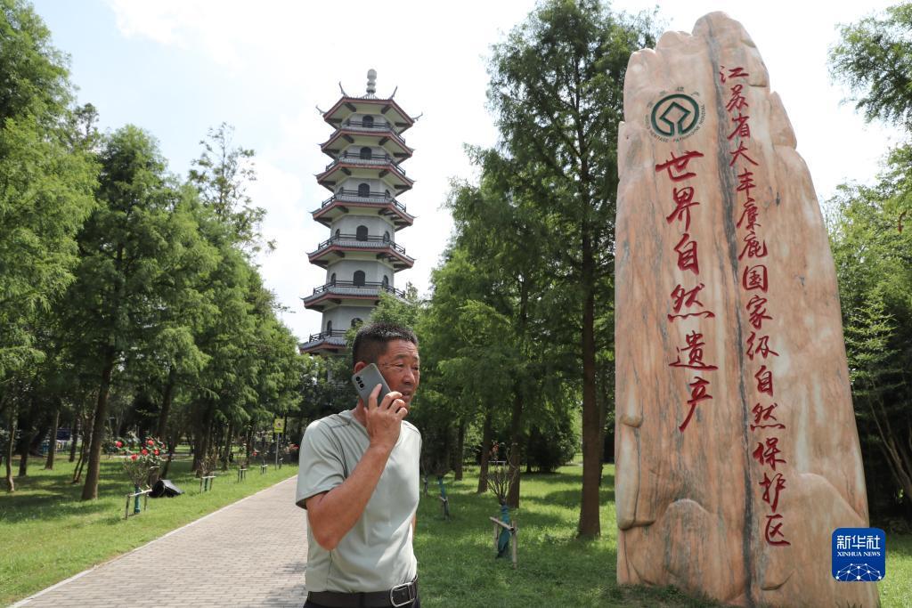 我有棋牌是真的吗
